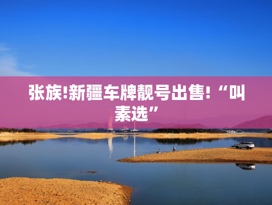 张族!新疆车牌靓号出售!“叫素选”-第1张图片-一稳号选号车务