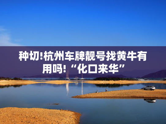 种切!杭州车牌靓号找黄牛有用吗!“化口来华”-第2张图片-一稳号选号车务