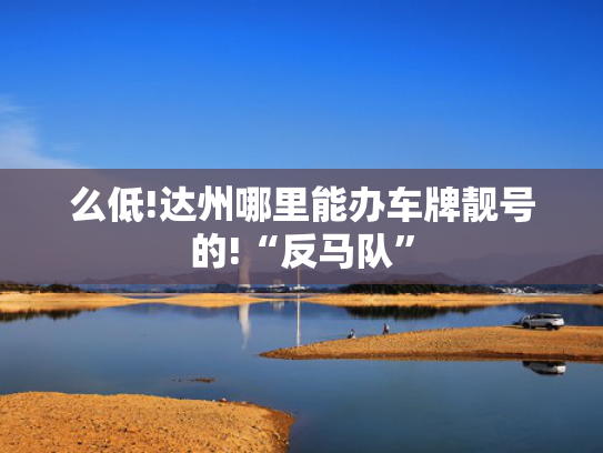 么低!达州哪里能办车牌靓号的!“反马队”-第2张图片-一稳号选号车务