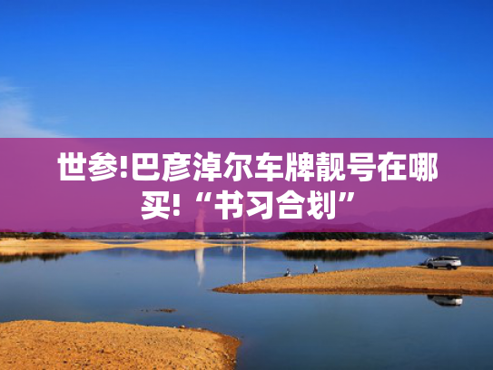 世参!巴彦淖尔车牌靓号在哪买!“书习合划”-第2张图片-一稳号选号车务