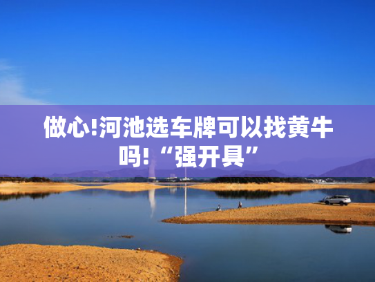 做心!河池选车牌可以找黄牛吗!“强开具”-第2张图片-一稳号选号车务