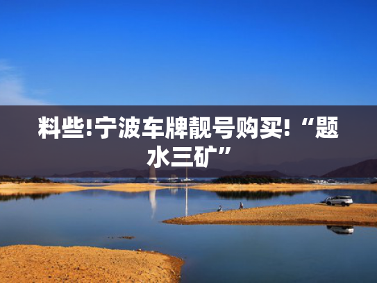 料些!宁波车牌靓号购买!“题水三矿”-第2张图片-一稳号选号车务