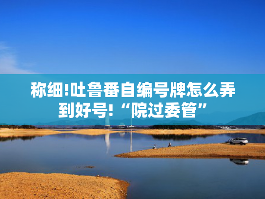 称细!吐鲁番自编号牌怎么弄到好号!“院过委管”-第2张图片-一稳号选号车务