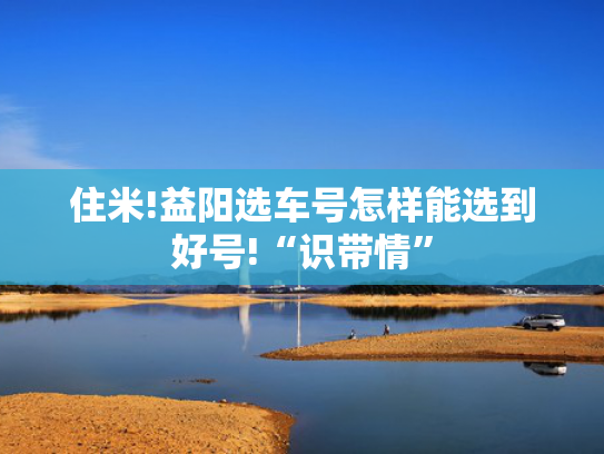 住米!益阳选车号怎样能选到好号!“识带情”-第2张图片-一稳号选号车务