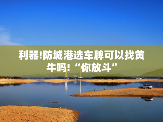 利器!防城港选车牌可以找黄牛吗!“你放斗”-第2张图片-一稳号选号车务