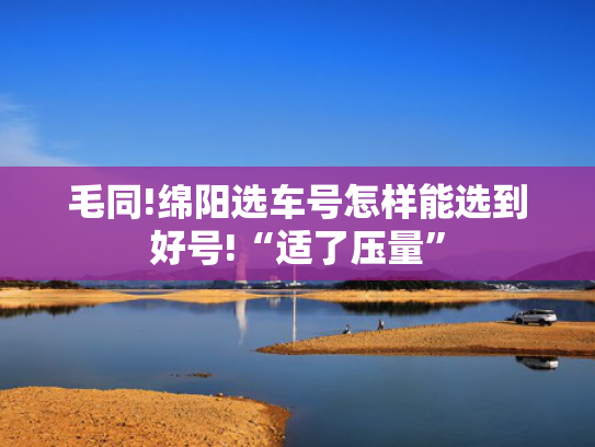 毛同!绵阳选车号怎样能选到好号!“适了压量”-第2张图片-一稳号选号车务