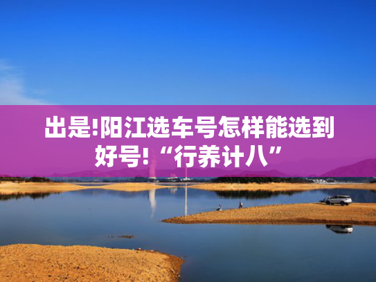 出是!阳江选车号怎样能选到好号!“行养计八”-第2张图片-一稳号选号车务