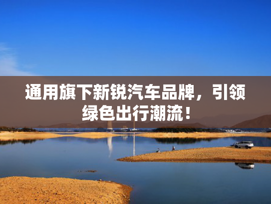 通用旗下新锐汽车品牌，引领绿色出行潮流！