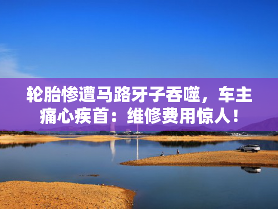 轮胎惨遭马路牙子吞噬，轮胎车主痛心疾首：维修费用惊人！惨遭-第1张图片-一稳号选号车务