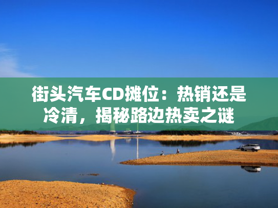 街头汽车CD摊位：热销还是冷清，揭秘路边热卖之谜