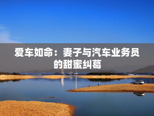 爱车如命：妻子与汽车业务员的甜蜜纠葛
