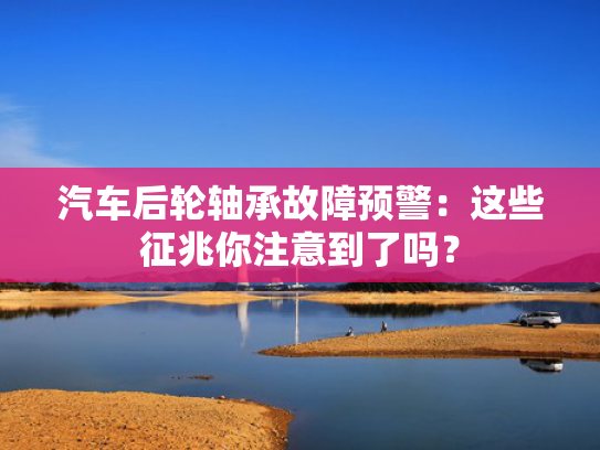 汽车后轮轴承故障预警：这些征兆你注意到了吗？