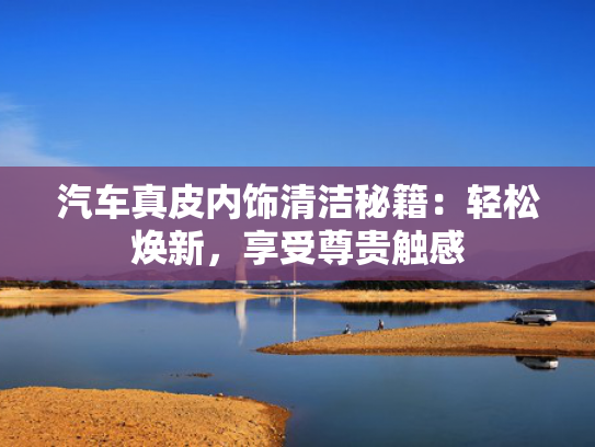 汽车真皮内饰清洁秘籍：轻松焕新，享受尊贵触感