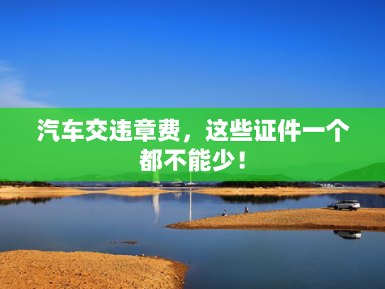 汽车交违章费，这些证件一个都不能少！