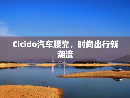 Cicido汽车腰靠，时尚出行新潮流