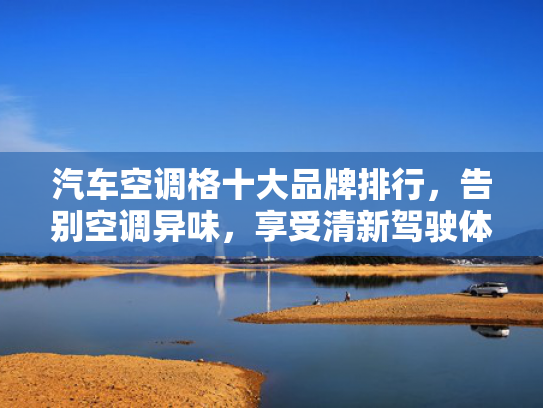 汽车空调格十大品牌排行，告别空调异味，享受清新驾驶体验！