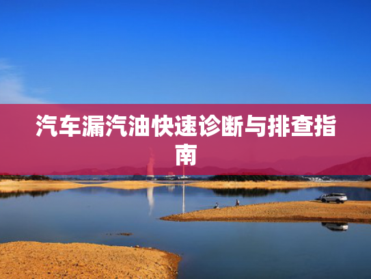 汽车漏汽油快速诊断与排查指南