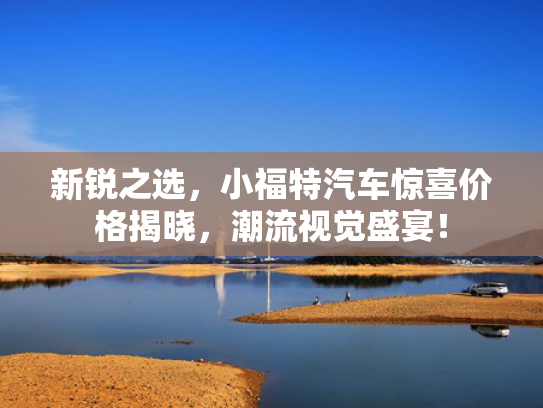 新锐之选，小福特汽车惊喜价格揭晓，潮流视觉盛宴！