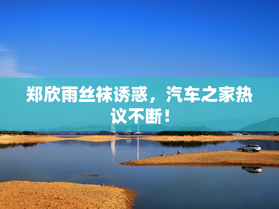郑欣雨丝袜诱惑，汽车之家热议不断！