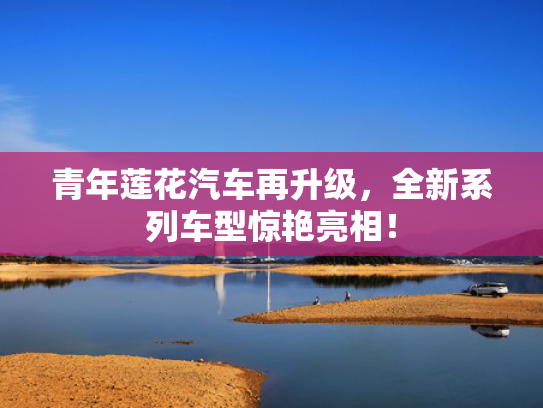 青年莲花汽车再升级，全新系列车型惊艳亮相！