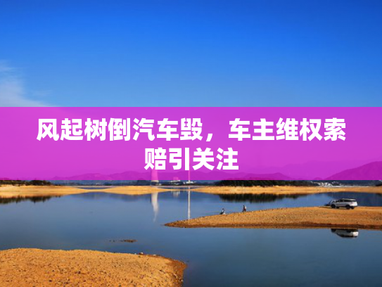 风起树倒汽车毁，风起车主维权索赔引关注-第1张图片-一稳号选号车务