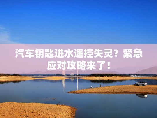 汽车钥匙进水遥控失灵？汽车紧急应对攻略来了！-第1张图片-一稳号选号车务