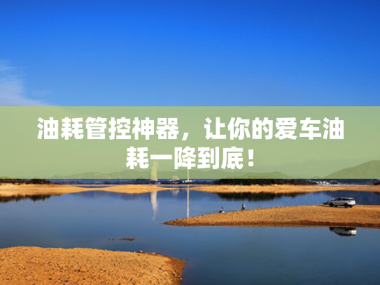 油耗管控神器，让你的爱车油耗一降到底！