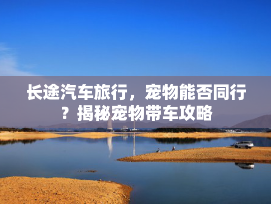 长途汽车旅行，宠物能否同行？揭秘宠物带车攻略