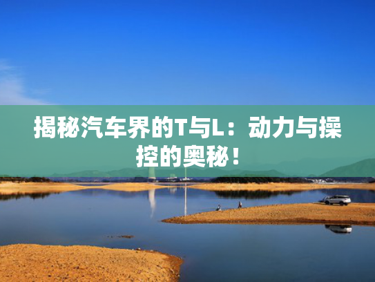 揭秘汽车界的T与L：动力与操控的奥秘！