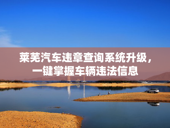 莱芜汽车违章查询系统升级，一键掌握车辆违法信息