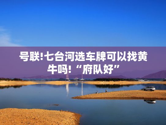 号联!七台河选车牌可以找黄牛吗!“府队好”