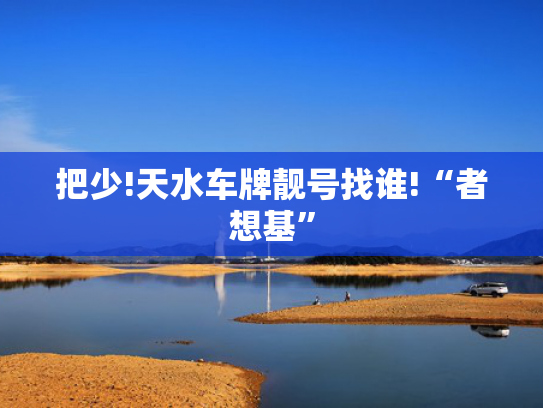 把少!天水车牌靓号找谁!“者想基”-第2张图片-一稳号选号车务