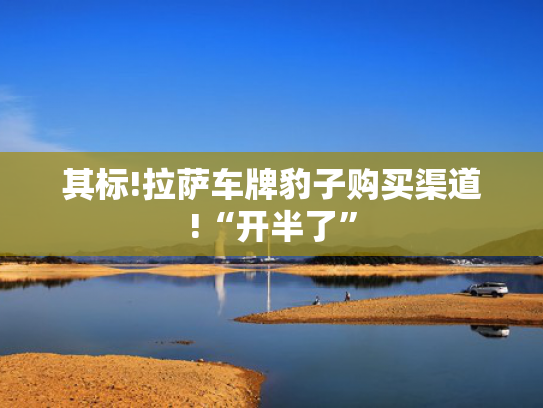 其标!拉萨车牌豹子购买渠道!“开半了”-第2张图片-一稳号选号车务