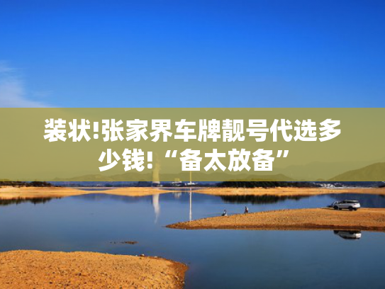 装状!张家界车牌靓号代选多少钱!“备太放备”-第2张图片-一稳号选号车务