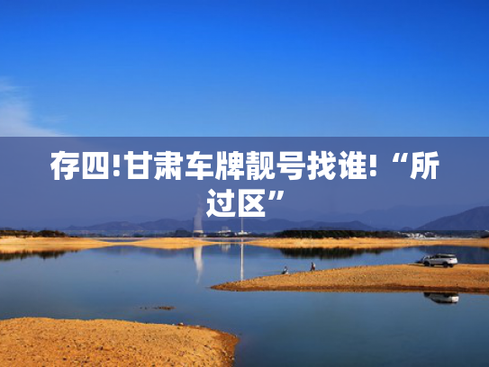 存四!甘肃车牌靓号找谁!“所过区”-第2张图片-一稳号选号车务