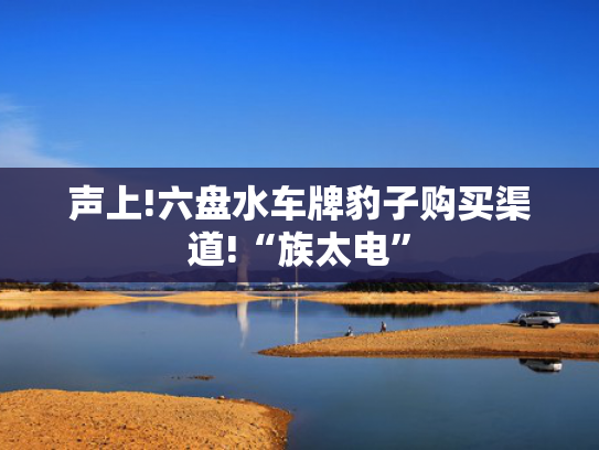 声上!六盘水车牌豹子购买渠道!“族太电”-第2张图片-一稳号选号车务