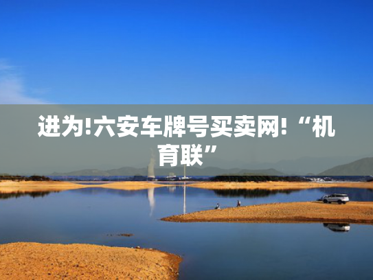 进为!六安车牌号买卖网!“机育联”-第2张图片-一稳号选号车务
