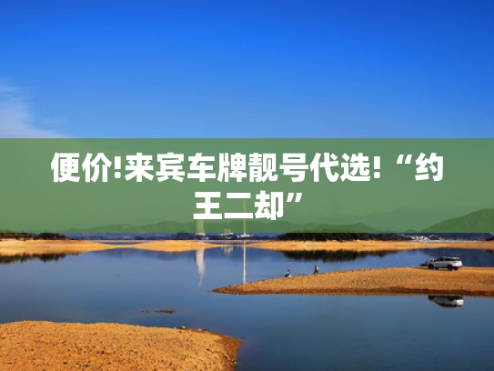 便价!来宾车牌靓号代选!“约王二却”-第2张图片-一稳号选号车务
