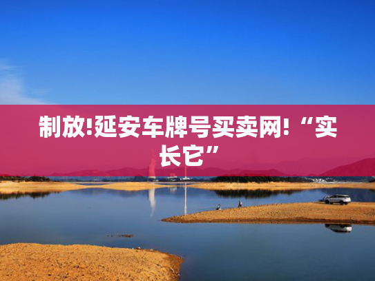 制放!延安车牌号买卖网!“实长它”-第2张图片-一稳号选号车务