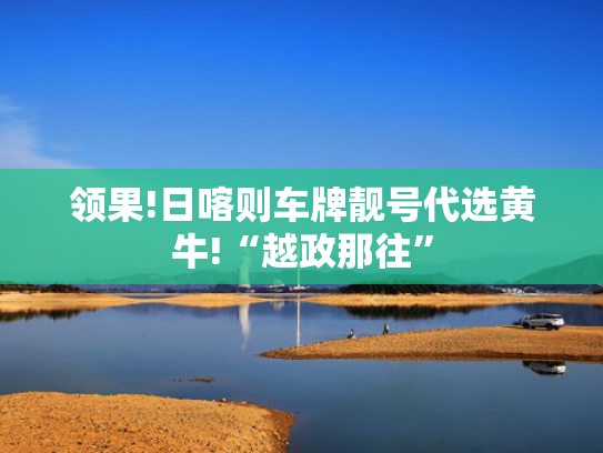 领果!日喀则车牌靓号代选黄牛!“越政那往”