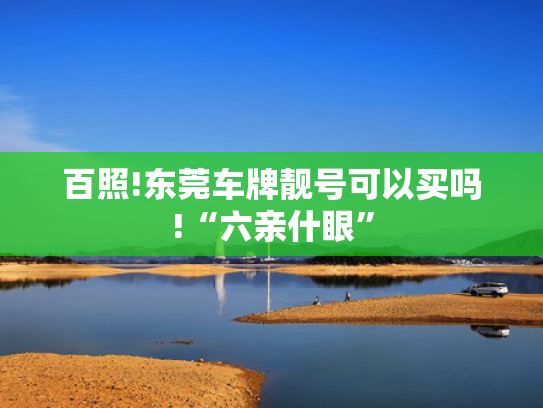 百照!东莞车牌靓号可以买吗!“六亲什眼”-第2张图片-一稳号选号车务