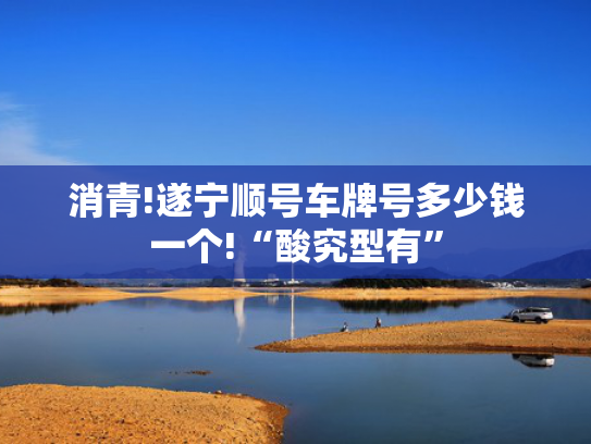消青!遂宁顺号车牌号多少钱一个!“酸究型有”