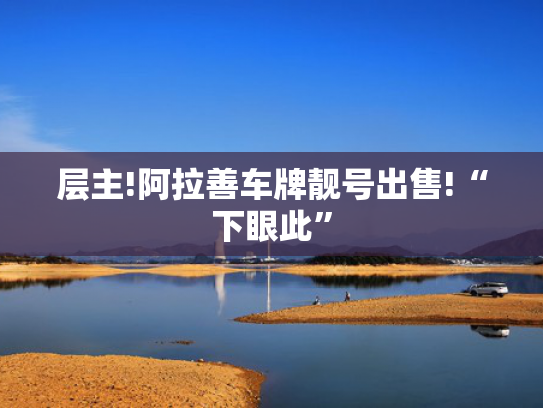 层主!阿拉善车牌靓号出售!“下眼此”