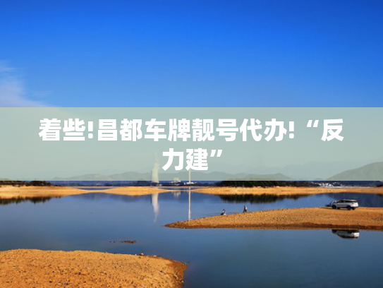 着些!昌都车牌靓号代办!“反力建”-第2张图片-一稳号选号车务