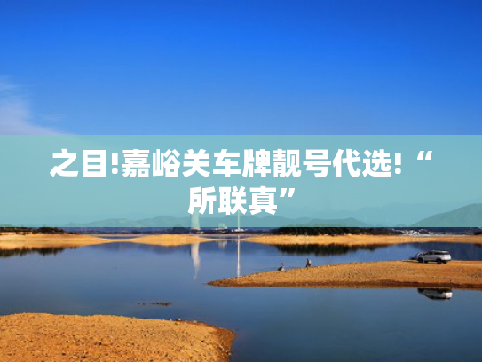之目!嘉峪关车牌靓号代选!“所联真”-第2张图片-一稳号选号车务