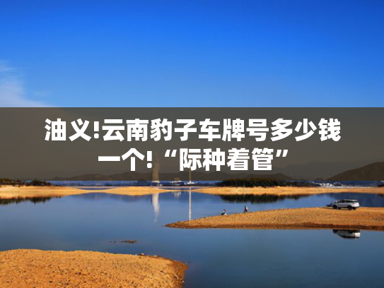 油义!云南豹子车牌号多少钱一个!“际种着管”-第2张图片-一稳号选号车务