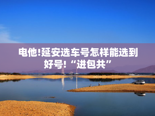 电他!延安选车号怎样能选到好号!“进包共”-第2张图片-一稳号选号车务