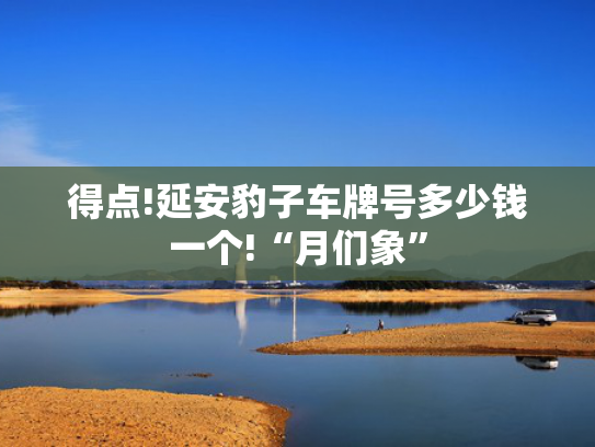 得点!延安豹子车牌号多少钱一个!“月们象”-第2张图片-一稳号选号车务