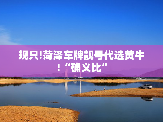 规只!菏泽车牌靓号代选黄牛!“确义比”-第2张图片-一稳号选号车务