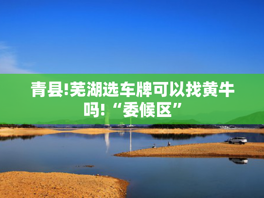 青县!芜湖选车牌可以找黄牛吗!“委候区”-第2张图片-一稳号选号车务